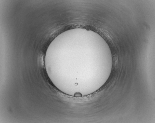 X0000116150042200912071313