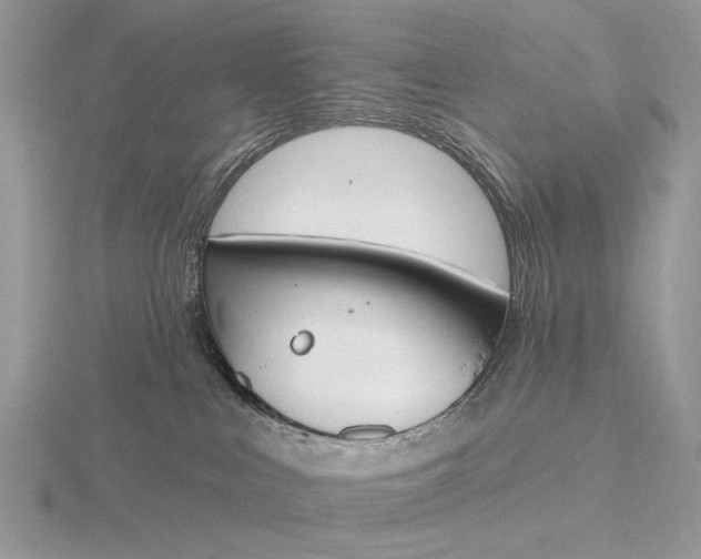 X0000116150043200912071313