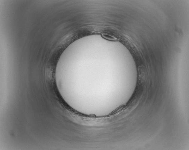 X0000116150044200912071313