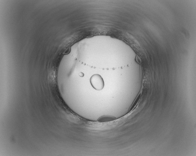 X0000116150045200912071313