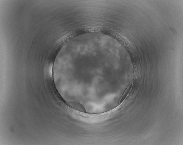 X0000116150047200912071313