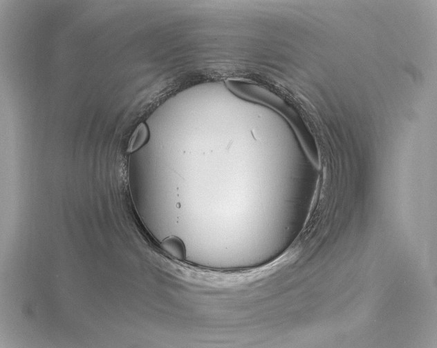 X0000116150048200912071313