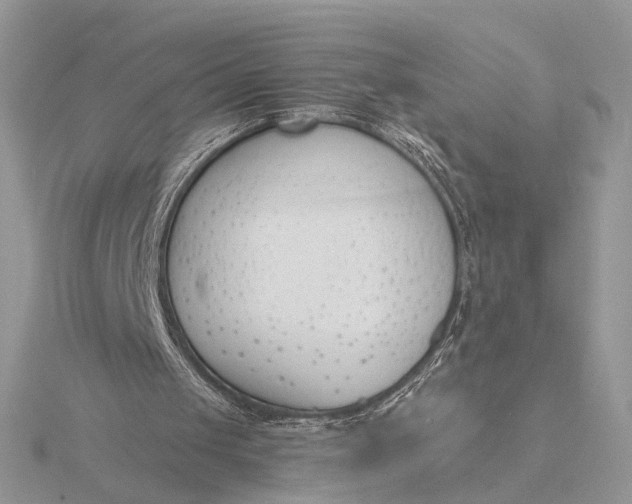 X0000116150049200912071312