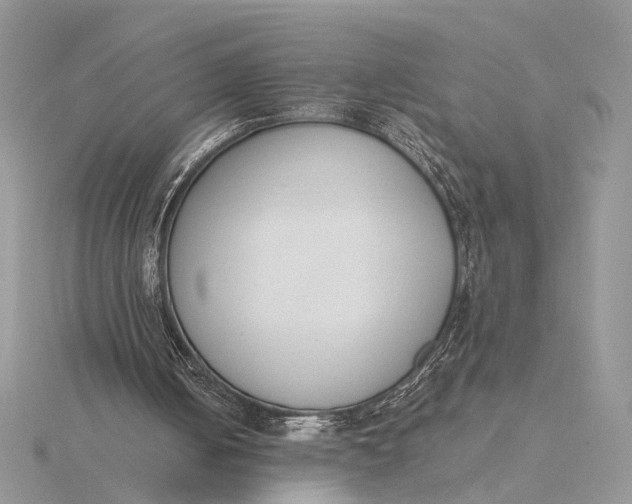 X0000116150050200912071312