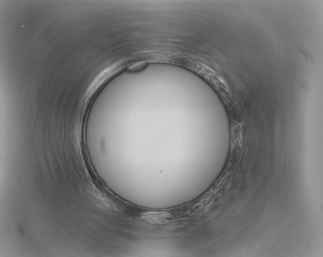 X0000116150051200912071312