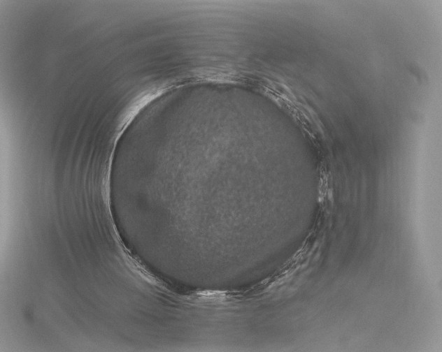 X0000116150052200912071312