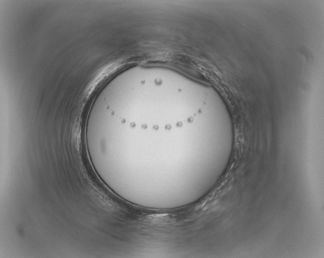 X0000116150054200912071312