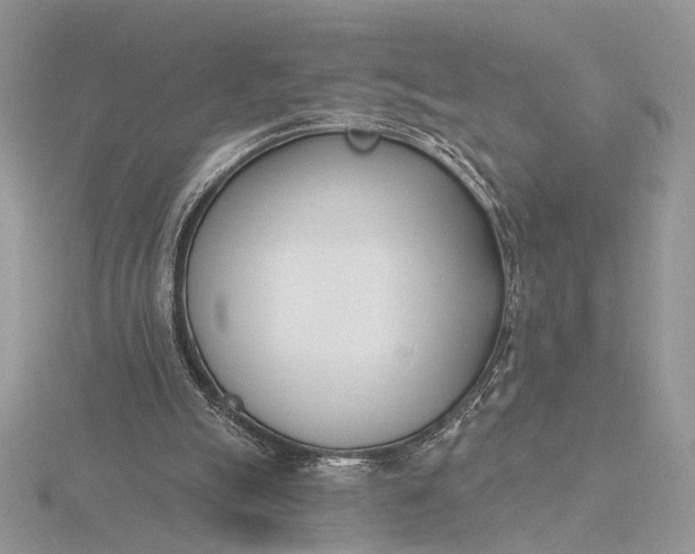 X0000116150055200912071312