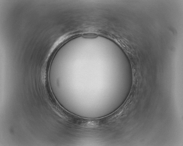 X0000116150056200912071312