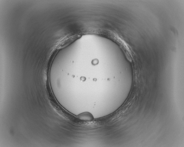 X0000116150059200912071312