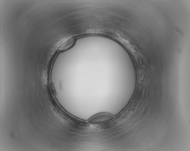 X0000116150060200912071312