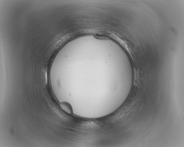 X0000116150061200912071312