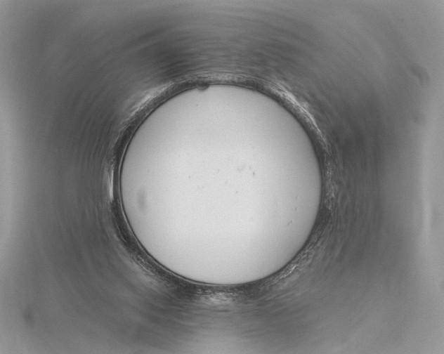 X0000116150062200912071312