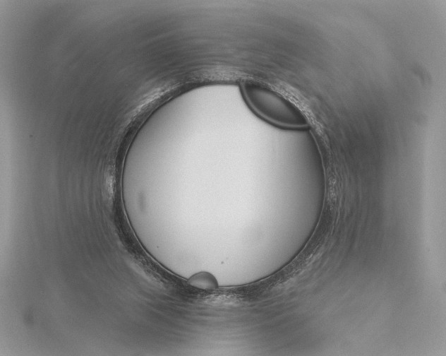 X0000116150063200912071312