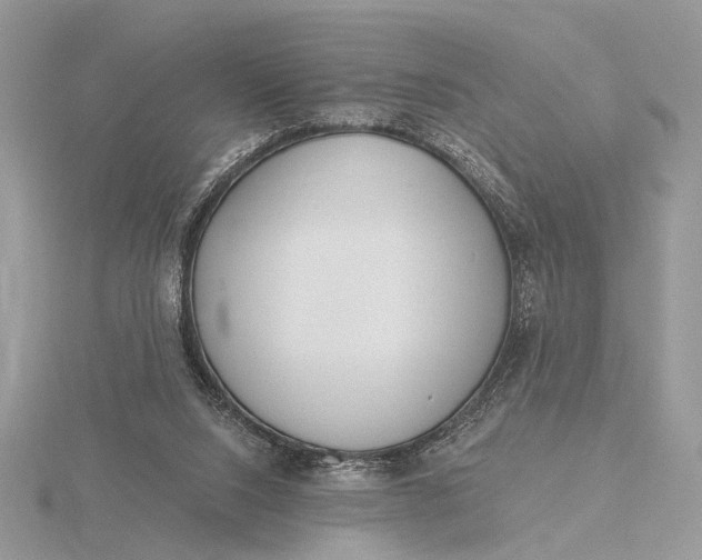 X0000116150064200912071312