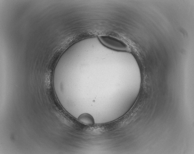 X0000116150065200912071312