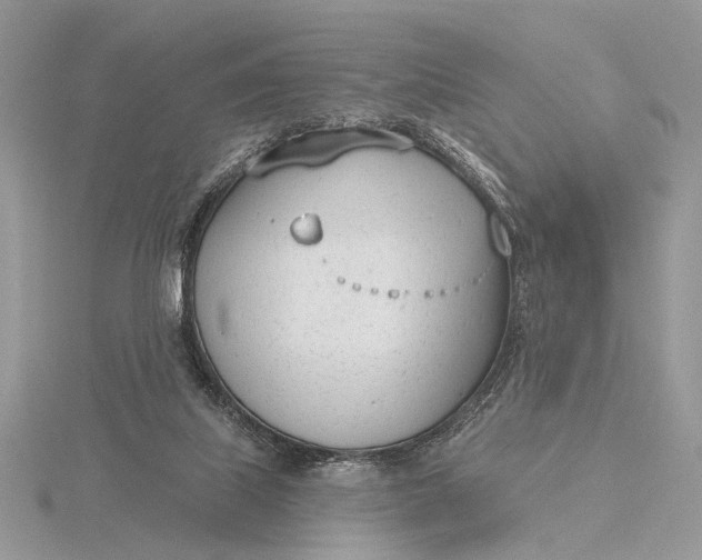 X0000116150067200912071312