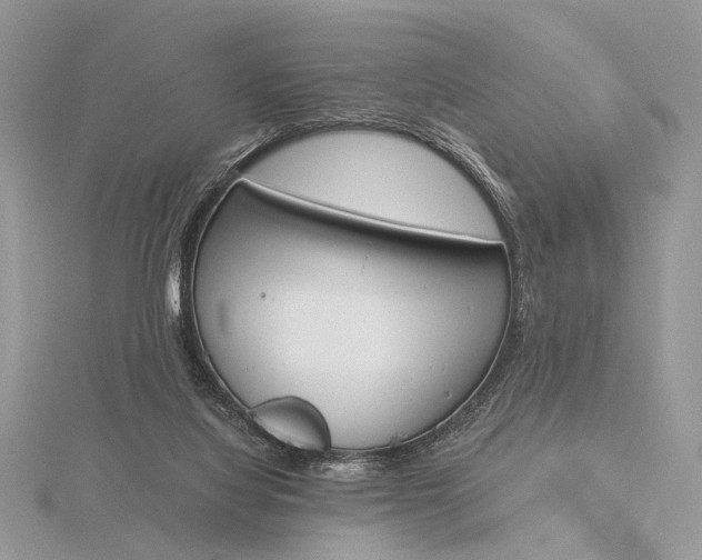 X0000116150068200912071312