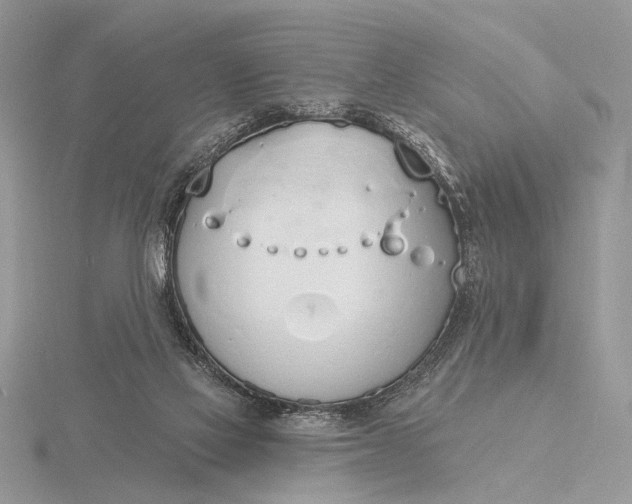 X0000116150069200912071312