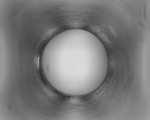 X0000116150070200912071312