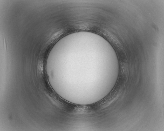 X0000116150072200912071312