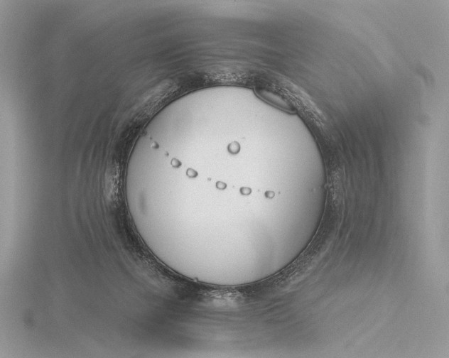 X0000116150073200912071312