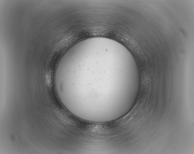 X0000116150074200912071312