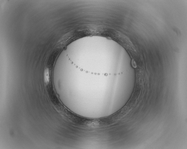 X0000116150075200912071313