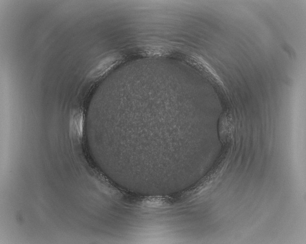 X0000116150076200912071313