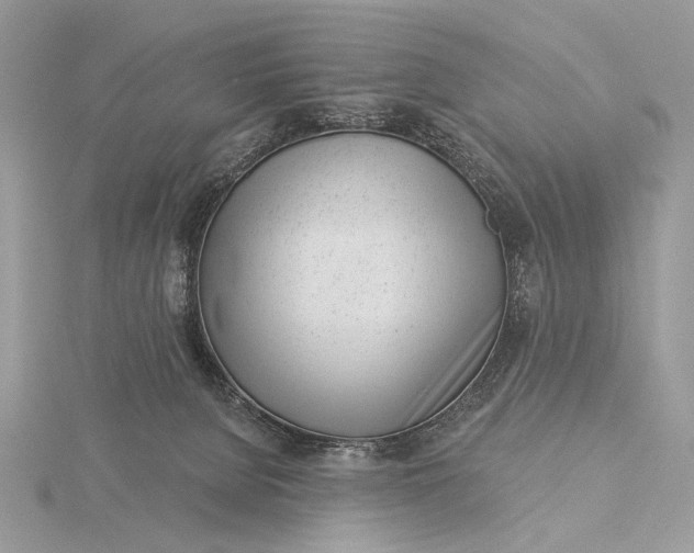 X0000116150080200912071313