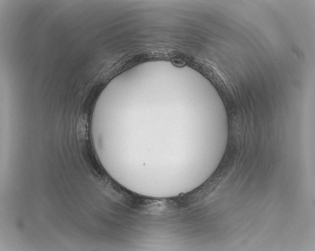 X0000116150083200912071313