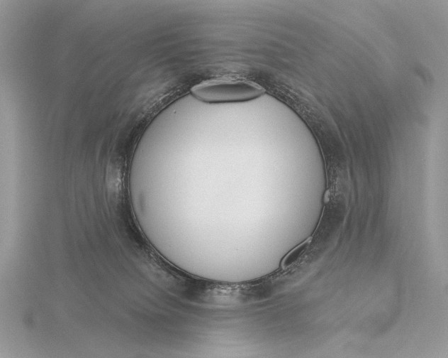 X0000116150084200912071313