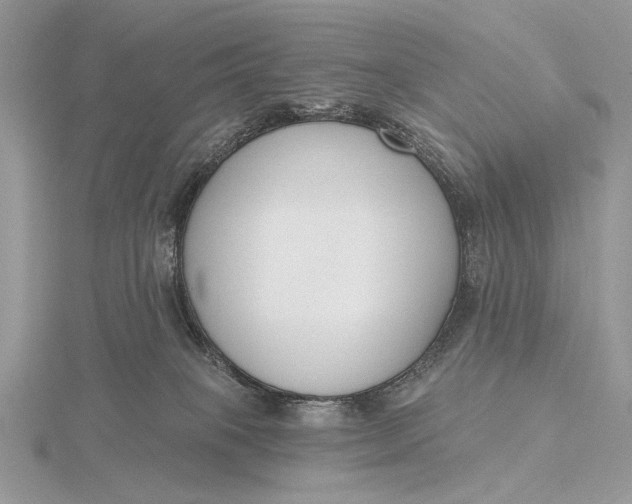 X0000116150085200912071313