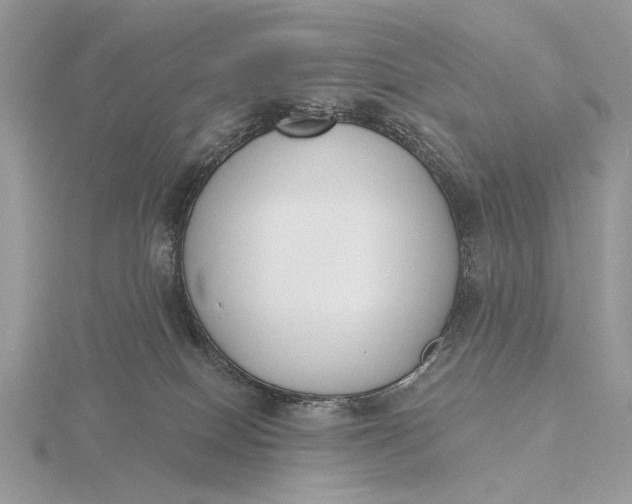 X0000116150086200912071313