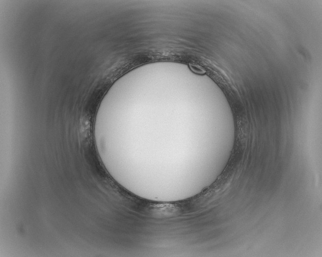 X0000116150087200912071313