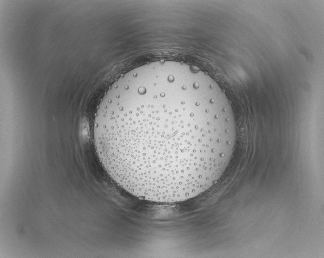 X0000116150089200912071313