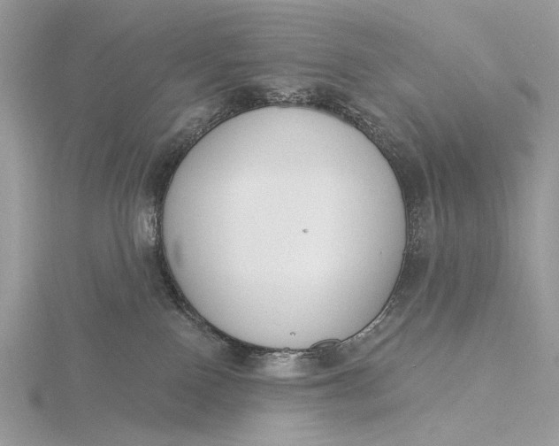 X0000116150090200912071313