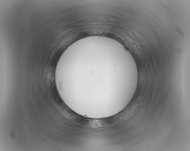 X0000116150091200912071313