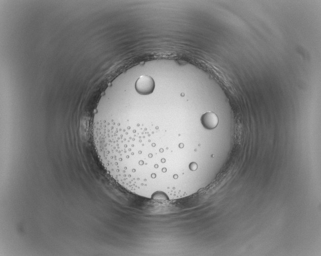 X0000116150093200912071313