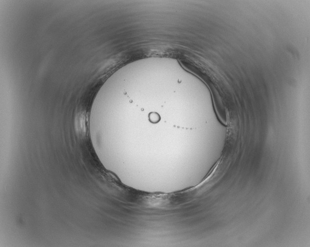 X0000116150094200912071313