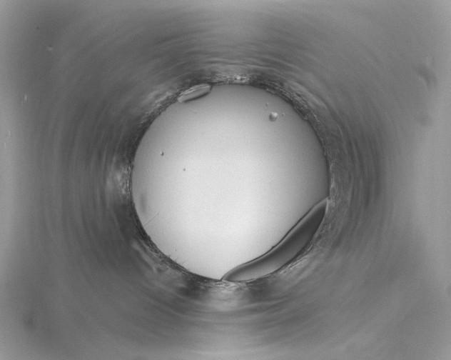 X0000116150096200912071313