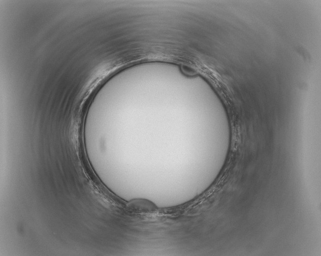 X0000116150098200912071312