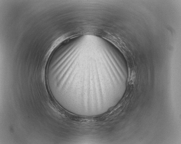 X0000116150099200912071312