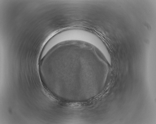 X0000116150100200912071312