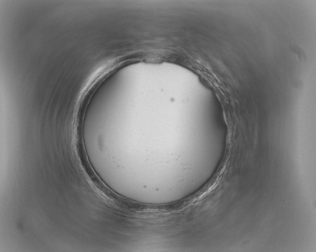 X0000116150101200912071312