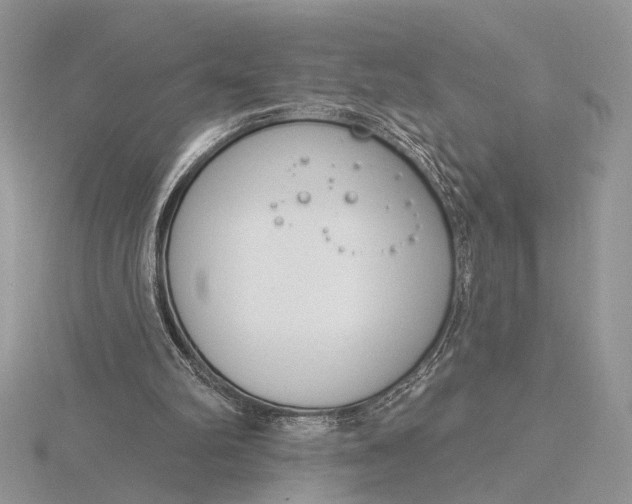 X0000116150102200912071312