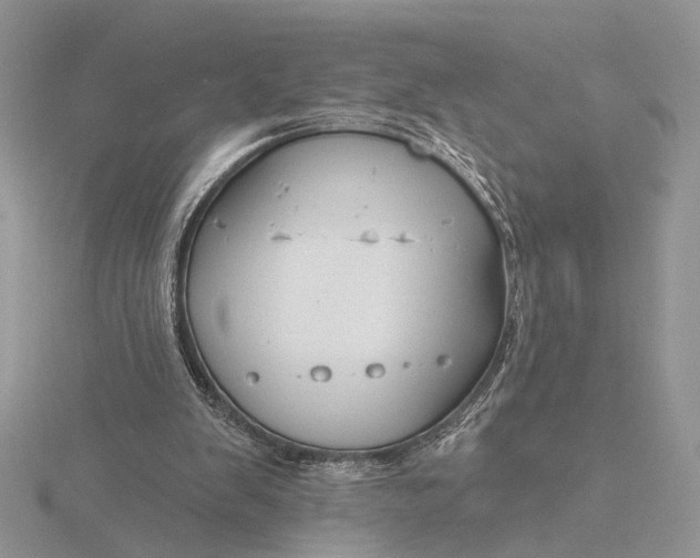 X0000116150103200912071312