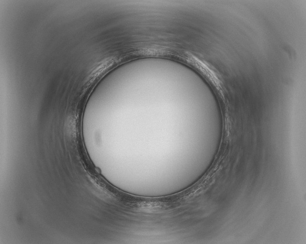 X0000116150105200912071312