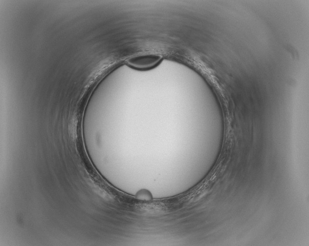 X0000116150106200912071312