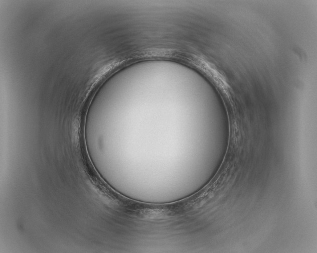 X0000116150107200912071312